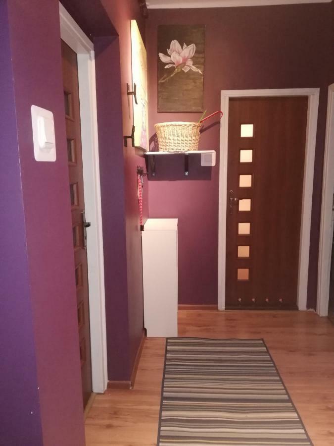Comfortable Apartment Close To Spodek Katowice Exterior foto